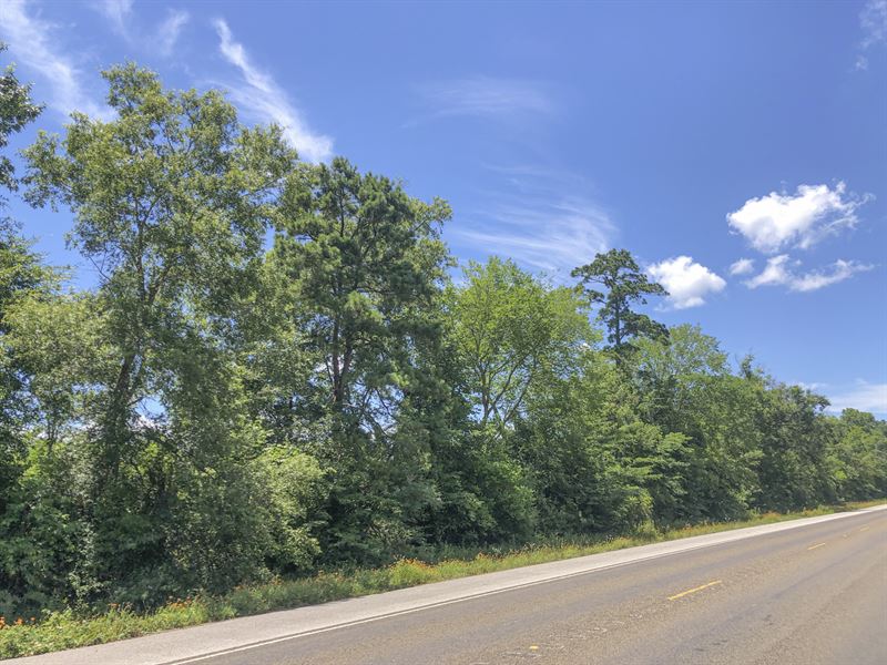 142 Acres Menard Creek West : Cleveland : Liberty County : Texas