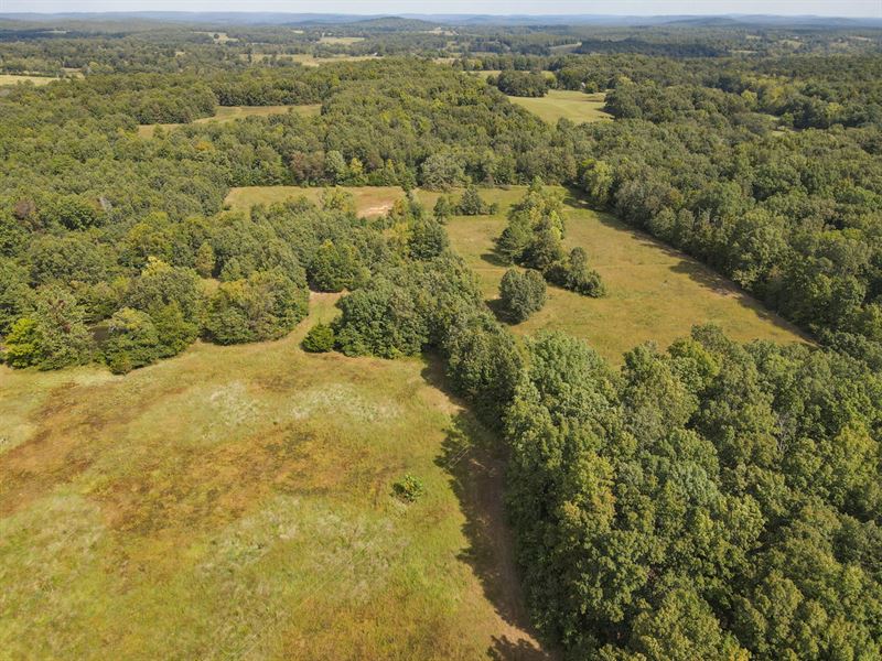 55 Acres for Sale in Ripley County : Gatewood : Ripley County : Missouri