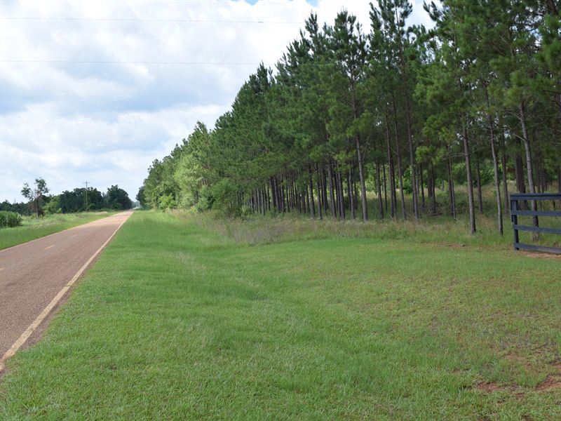 Farm Country Deer Hunting with Home : Dawson : Terrell County : Georgia