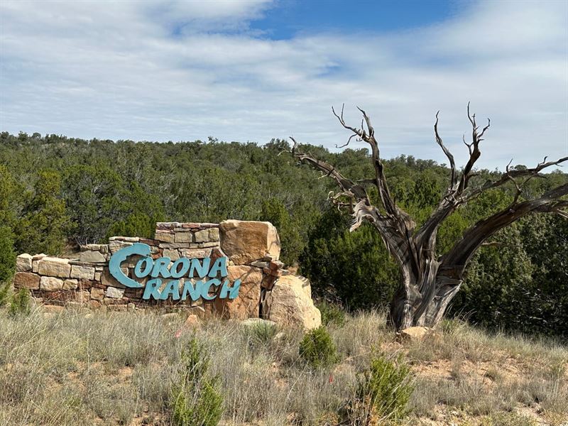 Corona Ranch Lot 3, 40 Ac : Corona : Lincoln County : New Mexico