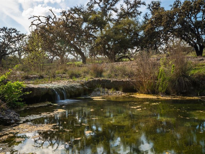 95 Acres-Hill Country Land Close to : Comfort : Kendall County : Texas