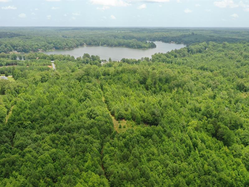 Wooded Acreage, Ranch for Sale in South Carolina, 204080 RANCHFLIP