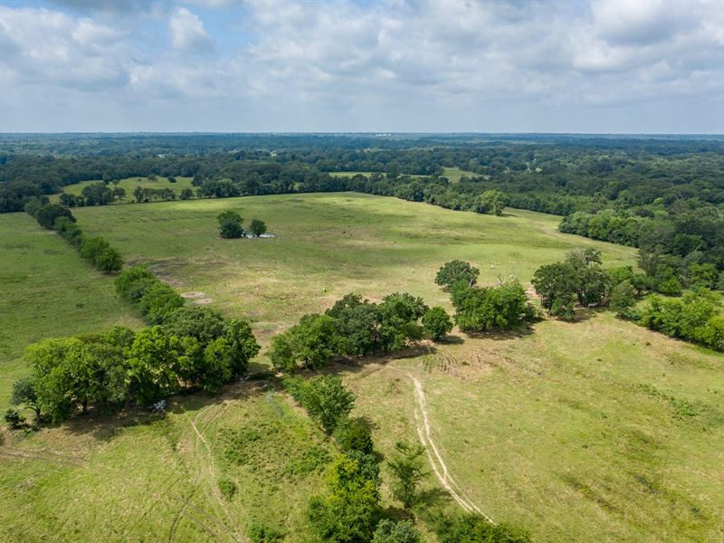 East Texas Pasture Land Hardwoods, Ranch for Sale in Texas, 204180