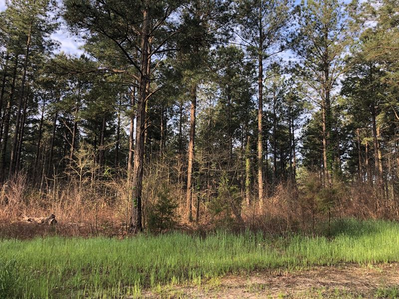 Taylor Mill Plantation : Fort Valley : Crawford County : Georgia