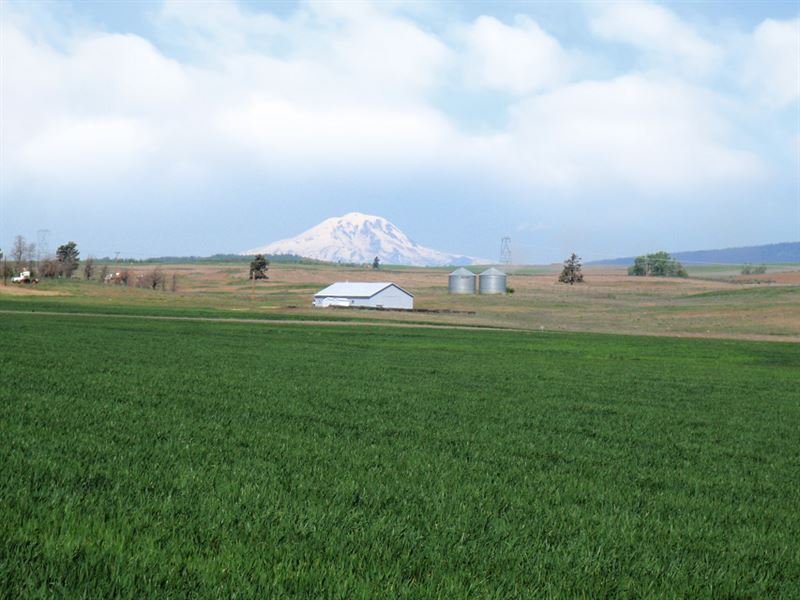 Plan & Build for Your Future : Goldendale : Klickitat County : Washington