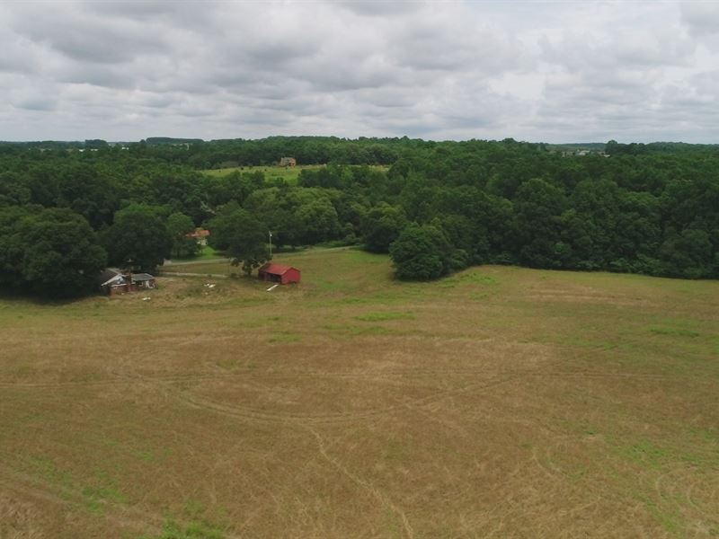 Prime 22+/- Acres Near Townville : Townville : Anderson County : South Carolina