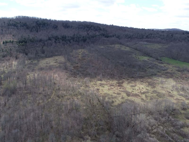 Catskills Mixed Woods and Meadows : Andes : Delaware County : New York