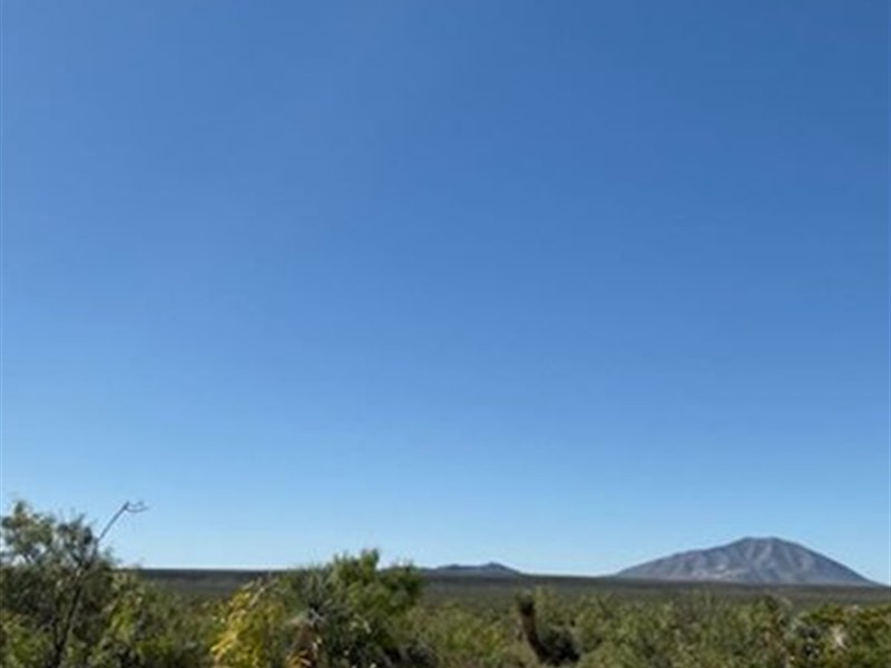 20 Ac, Grassy with Roll, $279/Mo : Sierra Blanca : Hudspeth County : Texas