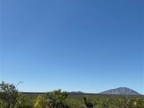 20 Ac, Grassy with Roll, $279/Mo : Sierra Blanca : Hudspeth County : Texas