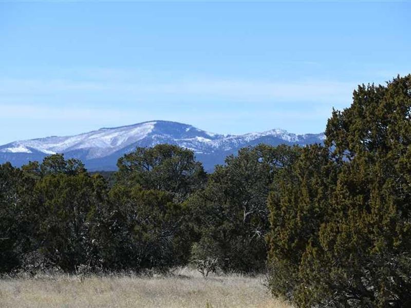 40 Acres Tr 1 Corona Ranch : Corona : Torrance County : New Mexico