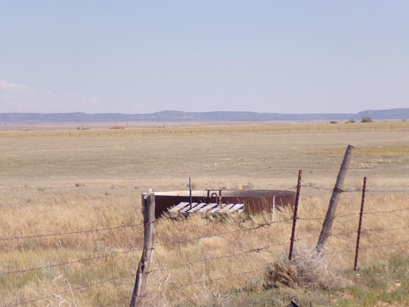 Grazing Pasture Land Mountainair NM Ranch for Sale in Estancia