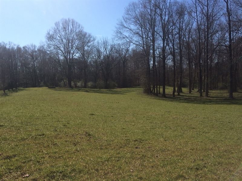 Sipsey Bottom Hunting Tract : Fayette : Fayette County : Alabama