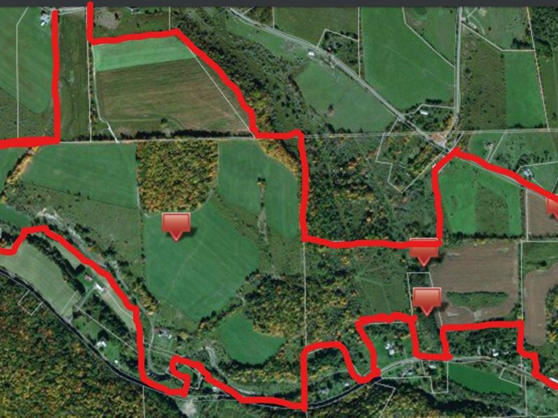 Productive Farm Land,Excellent Deer : Lisle : Broome County : New York