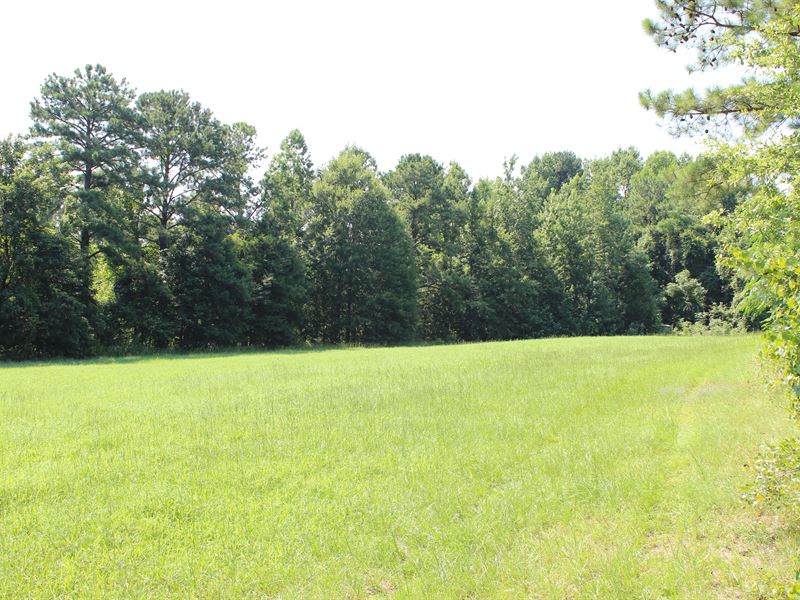 Conveniently Located Horse Property : Franklin : Macon County : Alabama