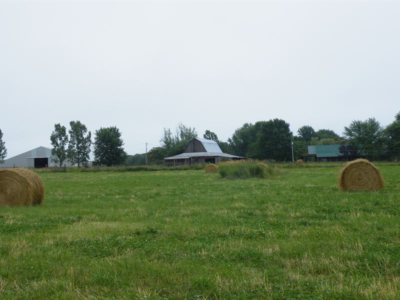 Beautiful, Productive Farm : Licking : Texas County : Missouri