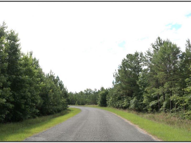 58 Acres in Winston County in McCoo : McCool : Winston County : Mississippi