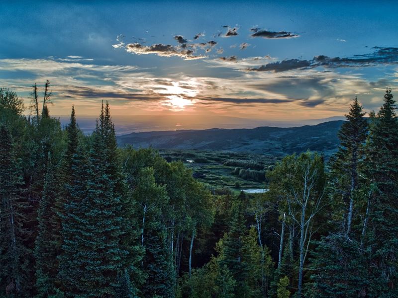 Colorado Mountain Property Hunting Ranch for Sale in Montrose