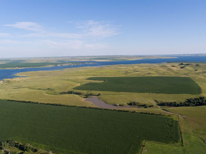 Stone Idol RanchEast Tract Ranch for Sale in Pollock, Campbell