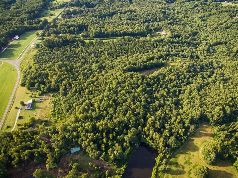 Must See Acreage : Madison : Rockingham County : North Carolina