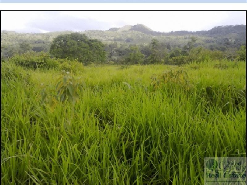 Farm Panama Near LA Pintada : Panama