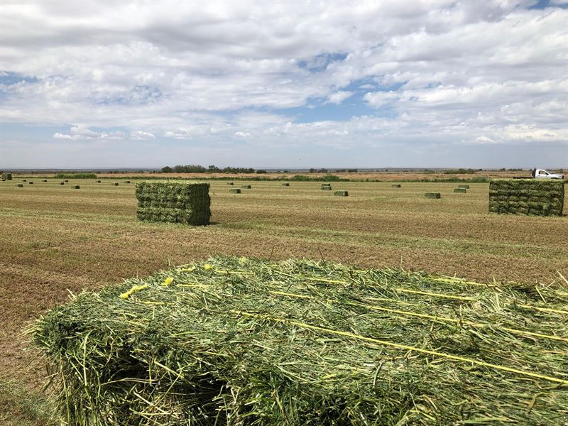 Farm in Southeastern Nm, Artesia : Hope : Eddy County : New Mexico