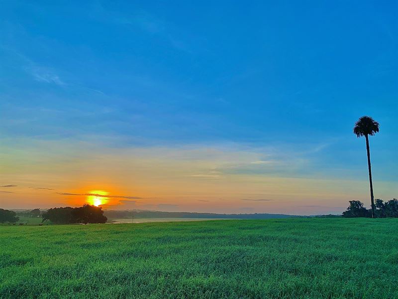 Hilltop 22 Ac Lake Access, Views : Brooksville : Hernando County : Florida