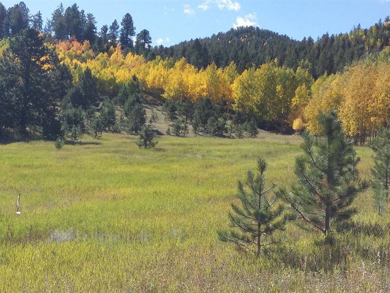 Recreational Land Pond Teller : Cripple Creek : Teller County : Colorado