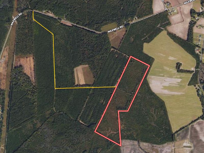 60 Acres of Inves : Stedman : Cumberland County : North Carolina