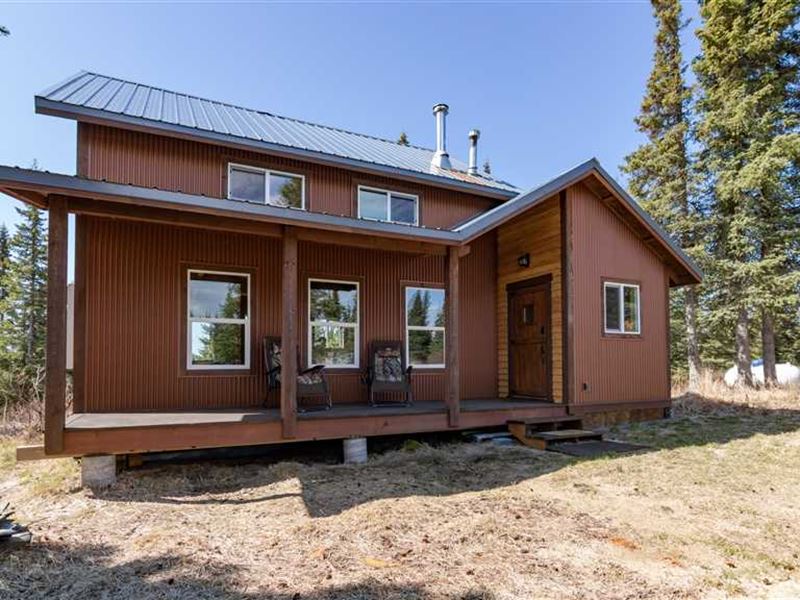 Cabin on 40 Acres in Clam Gulch : Clam Gulch : Kenai Peninsula Borough : Alaska