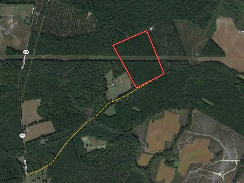 25 Deeded Acres of Timberland : Disputanta : Sussex County : Virginia