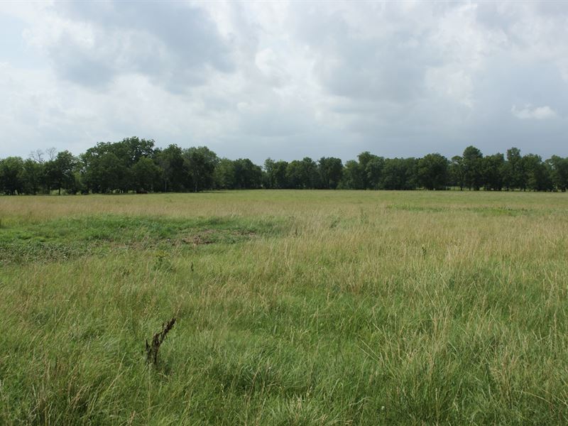36 Acres Land in Vinita, Oklahoma : Vinita : Craig County : Oklahoma