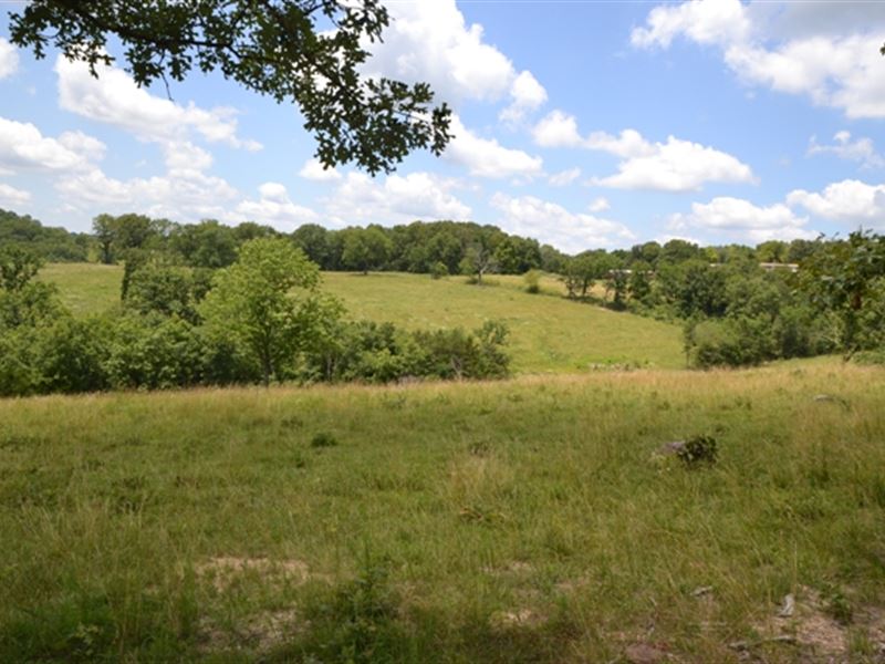 Hobby Farm for Sale in The Ozarks : Ava : Douglas County : Missouri