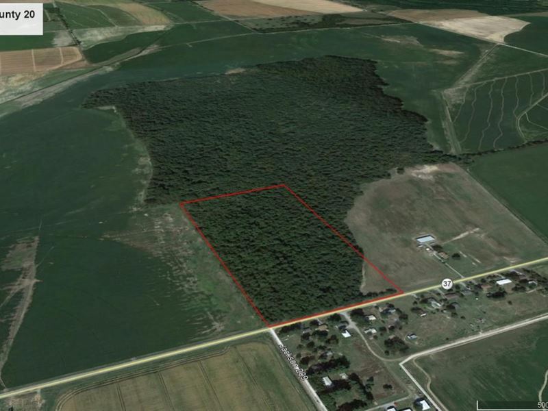 Jackson County Timber Tract : Tuckerman : Jackson County : Arkansas