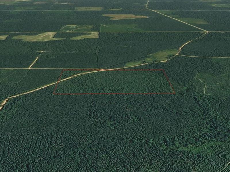 60 Acres in Fountain Hill, Arkansas : Fountain Hill : Ashley County : Arkansas