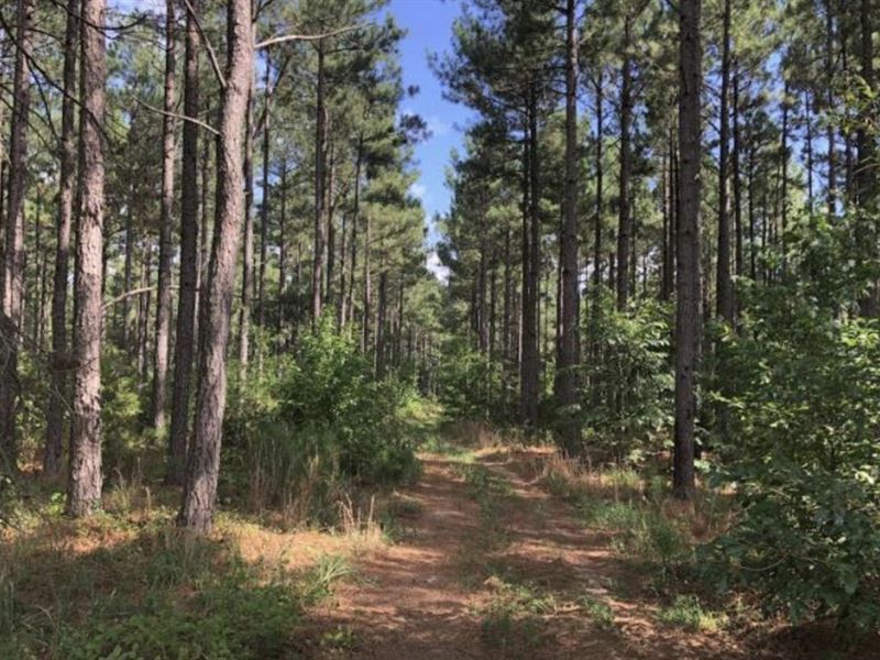 Batesville Mountain Tract : Damascus : Faulkner County : Arkansas