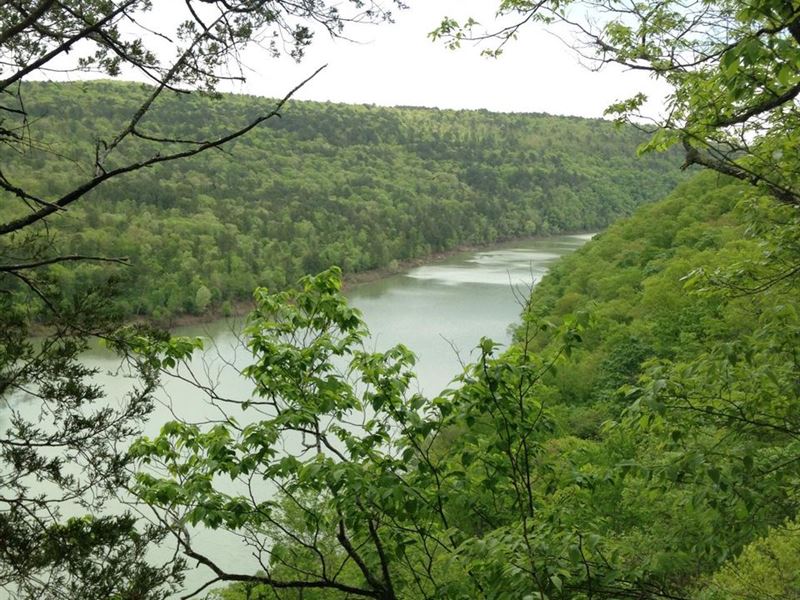 Birdie Hollow Tract : Shirley : Cleburne County : Arkansas