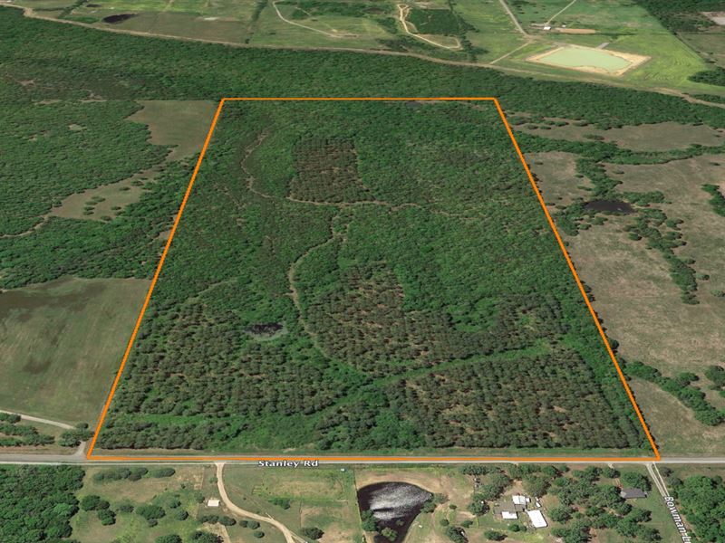 Two Creeks Timber Tract : Velvet Ridge : White County : Arkansas