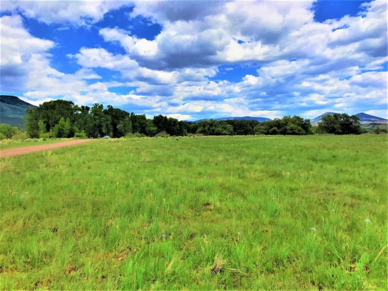 Lazy T, Parcel 2 : South Fork : Rio Grande County : Colorado