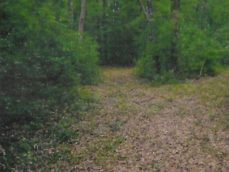 Land for Sale in Florida : Monticello : Jefferson County : Florida