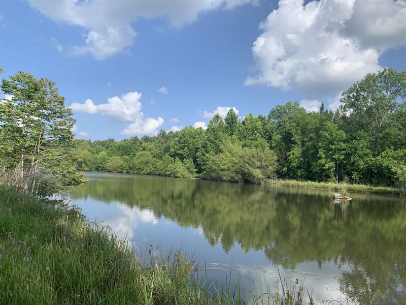 Hunting Land with Ponds : Marion : Perry County : Alabama