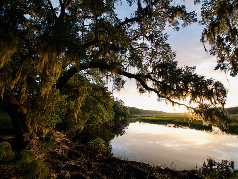 Bindon Plantation : Shell Point : Beaufort County : South Carolina