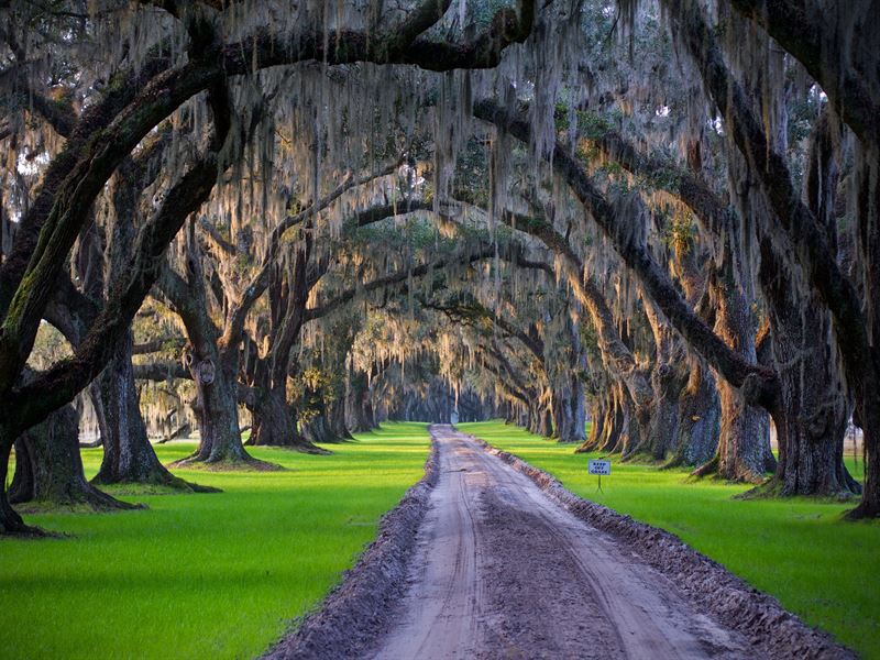 Tomotley Plantation : Yemassee : Beaufort County : South Carolina