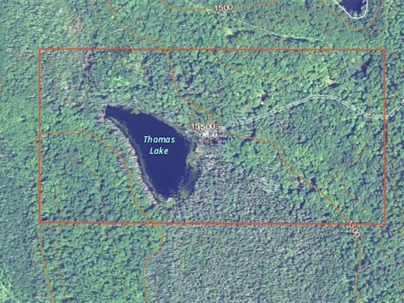 Hunting Land with 10 Acre Lake : Stambaugh : Houghton County : Michigan