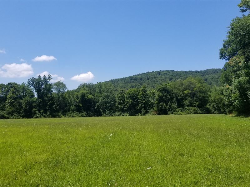 Unrestricted Pasture Land : McMinnville : Warren County : Tennessee