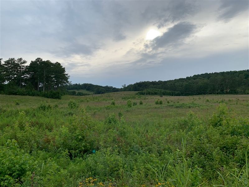75 Acres with Easy Accessibility : Rockmart : Polk County : Georgia