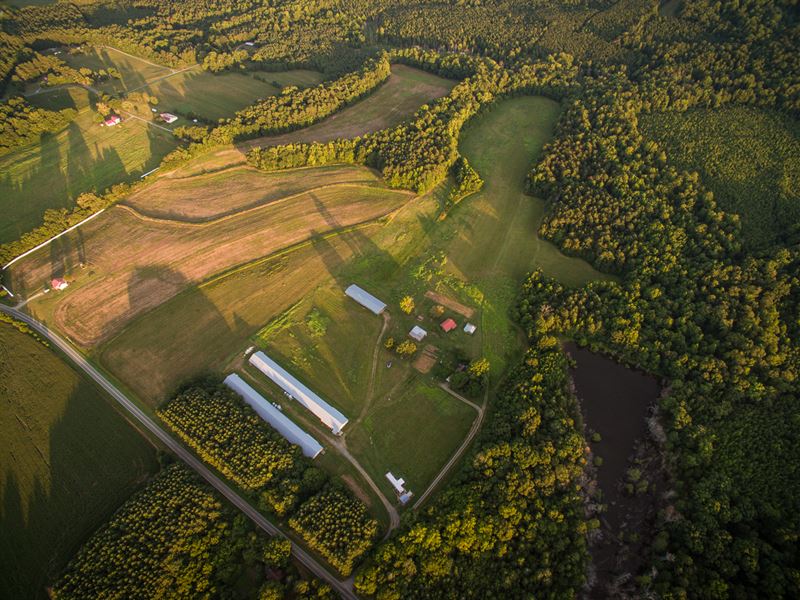 Impressive Farm in Great Location : Graham : Alamance County : North Carolina