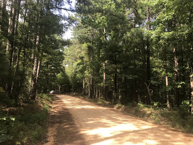 20 Acres for Dream Home & Hunting : Brookhaven : Franklin County : Mississippi