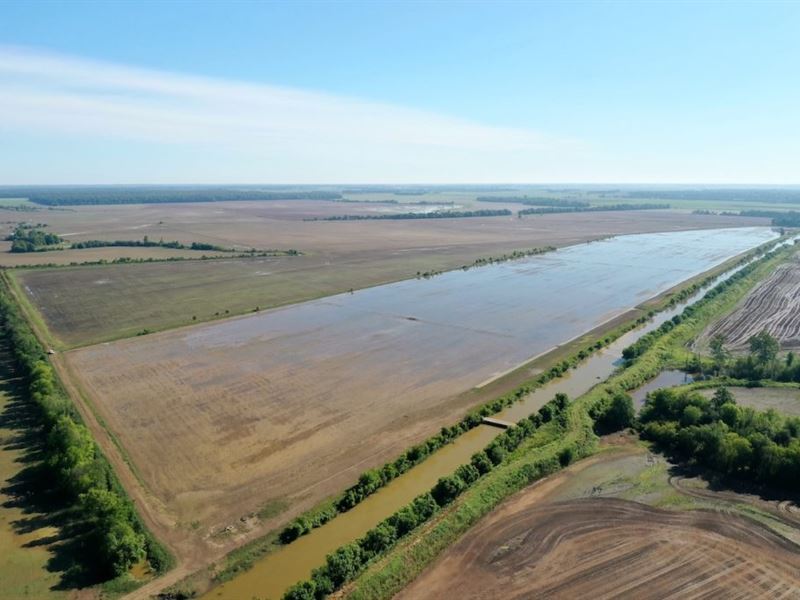 The Penn Farm : Alicia : Lawrence County : Arkansas