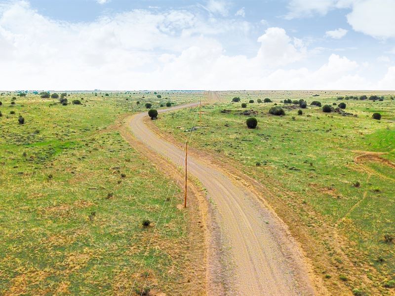 Mountain View Ranch By Public Land : Walsenburg : Huerfano County : Colorado