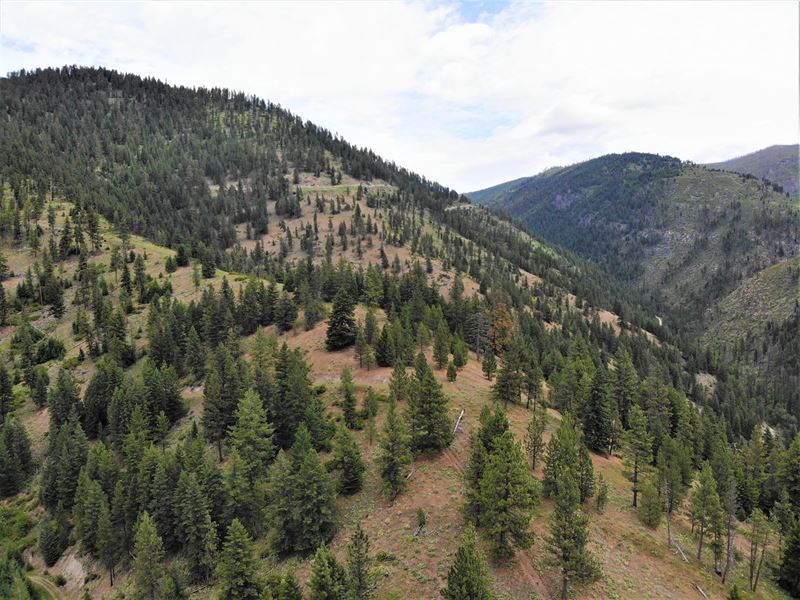Recreation Land for Sale : Frenchtown : Missoula County : Montana